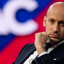 O atual vice-diretor de políticas e assessor de segurança nacional dos Estados Unidos é aliado do presidente desde o início. De redator dos primeiros discursos do então candidato, Stephen Miller passou a ser peça-chave da política de imigração do novo governo e responsável por diversas ordens executivas sobre o tema, que hoje dividem a sociedade a