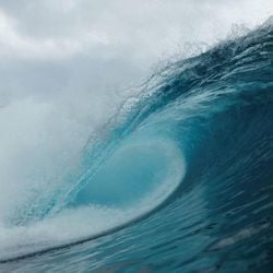 Estudos mostram que um quinto do oceano global está mais escuro hoje do que duas décadas atrás.