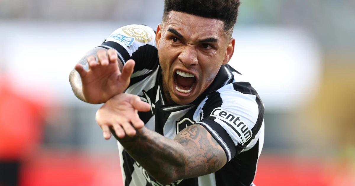 Botafogo e Palmeiras jogam pela Copa do Mundo de Clubes; Veja onde