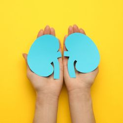 Veja como alguns cuidados são fundamentais para evitar a doença renal crônica