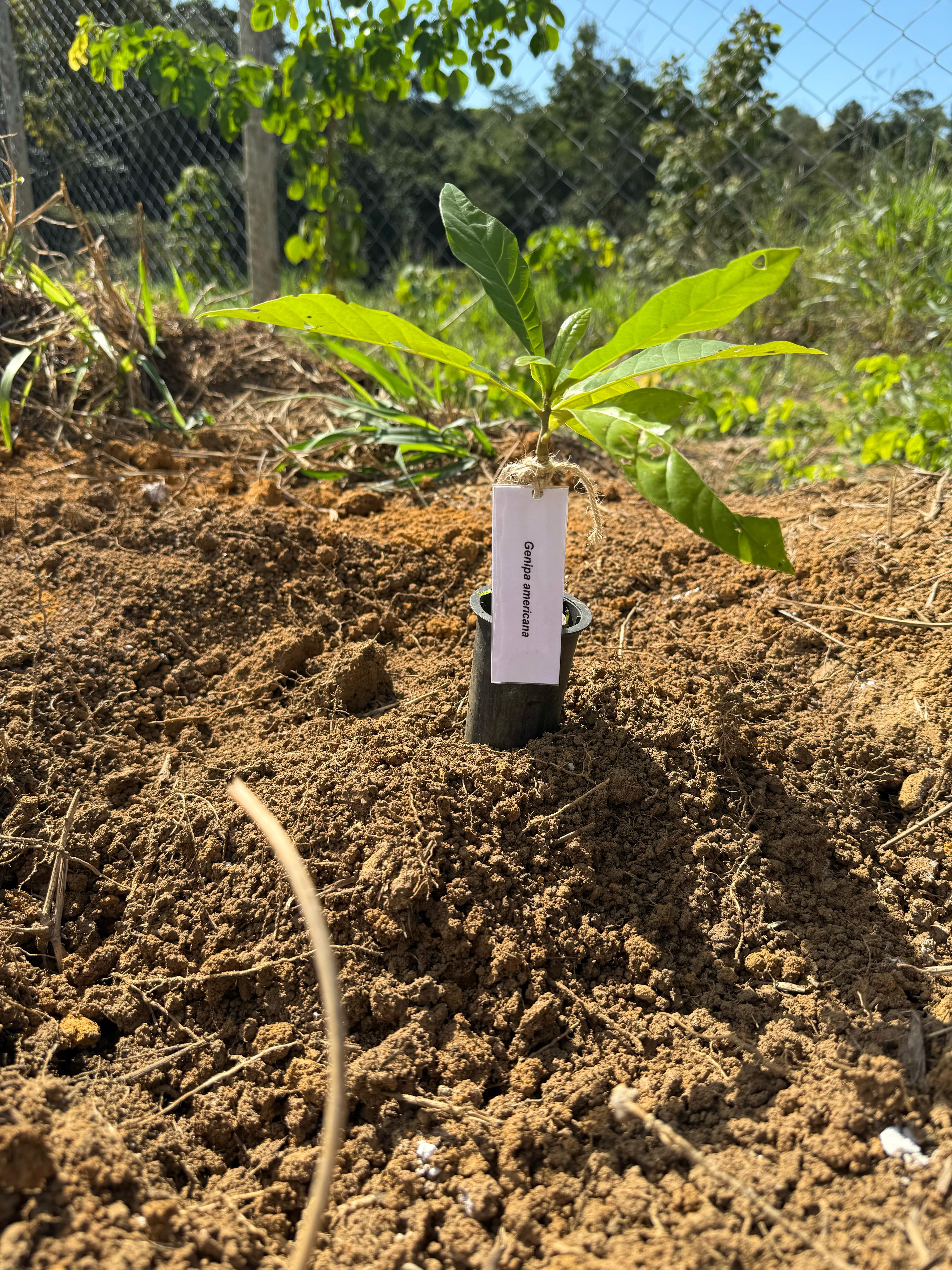 Clientes do empreendimento puderam vivenciar dia de sustentabilidade e relaxamento