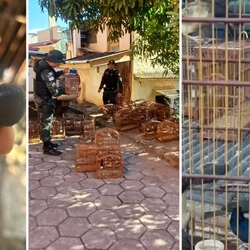 O dono do imóvel onde os animais eram mantidos presos ilegalmente foi detido e levado para a delegacia