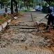 Imagem - Vitória inicia obra para expandir ciclovia em trecho próximo a shopping