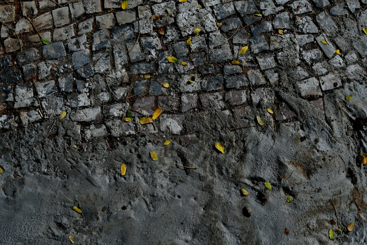 Construção de ciclovia entre a Praça da Ciência e o Shopping Vitória por Fernando Madeira