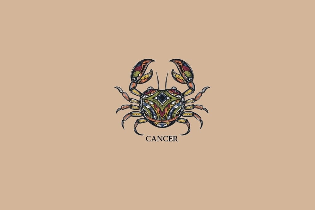 Os cancerianos deverão ter cuidado com o excesso de expectativas e evitar comparações (Imagem: Nadezhda Molkentin | Shutterstock)