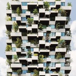 Arquitetos estão incorporando a natureza às suas construções, criando edifícios que funcionam como verdadeiras florestas, refrescando o ambiente, aproveitando a luz solar e melhorando a saúde mental de seus ocupantes.