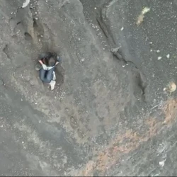 Juliana é publicitária natural de Niterói (RJ). Pelas redes sociais, onde tem mais de 20 mil seguidores, costuma publicar fotos e vídeos curtos de registros feitos durante alguns destinos, dentre eles a própria Indonésia, Tailândia, Vietnã e Filipinas