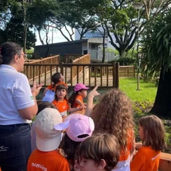 Estudo do meio, com aprendizado inserido no dia a dia das crianças, consolida-se como uma das práticas mais potentes do currículo do ensino fundamental na Escola Monteiro