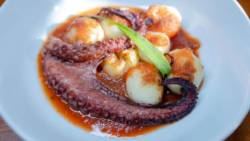 Polvo com batatas do Modéstia às Favas no Fest Gastronomia 2025