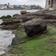 Imagem - Sobre as águas do mar e os sururus da Ilha do Boi