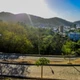 Imagem - Leucenas e acácias: o verde que virou problema nas encostas da Grande Vitória
