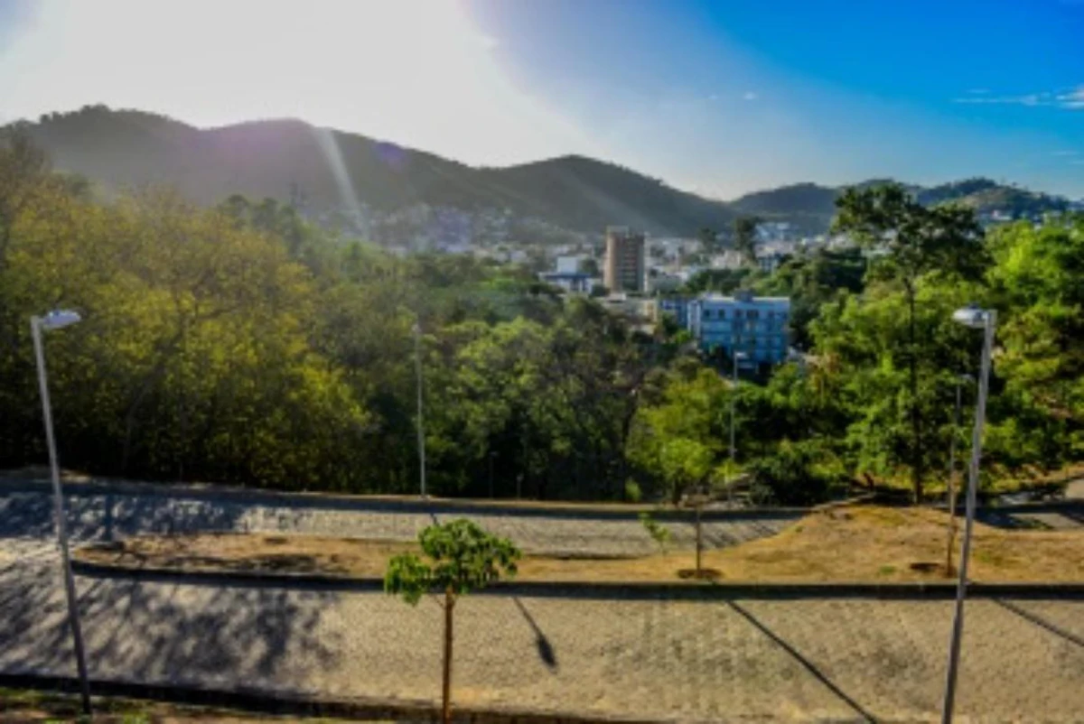 Em 2020, Parque Barão de Monjardim recebe trabalho de manejo de árvores invasoras