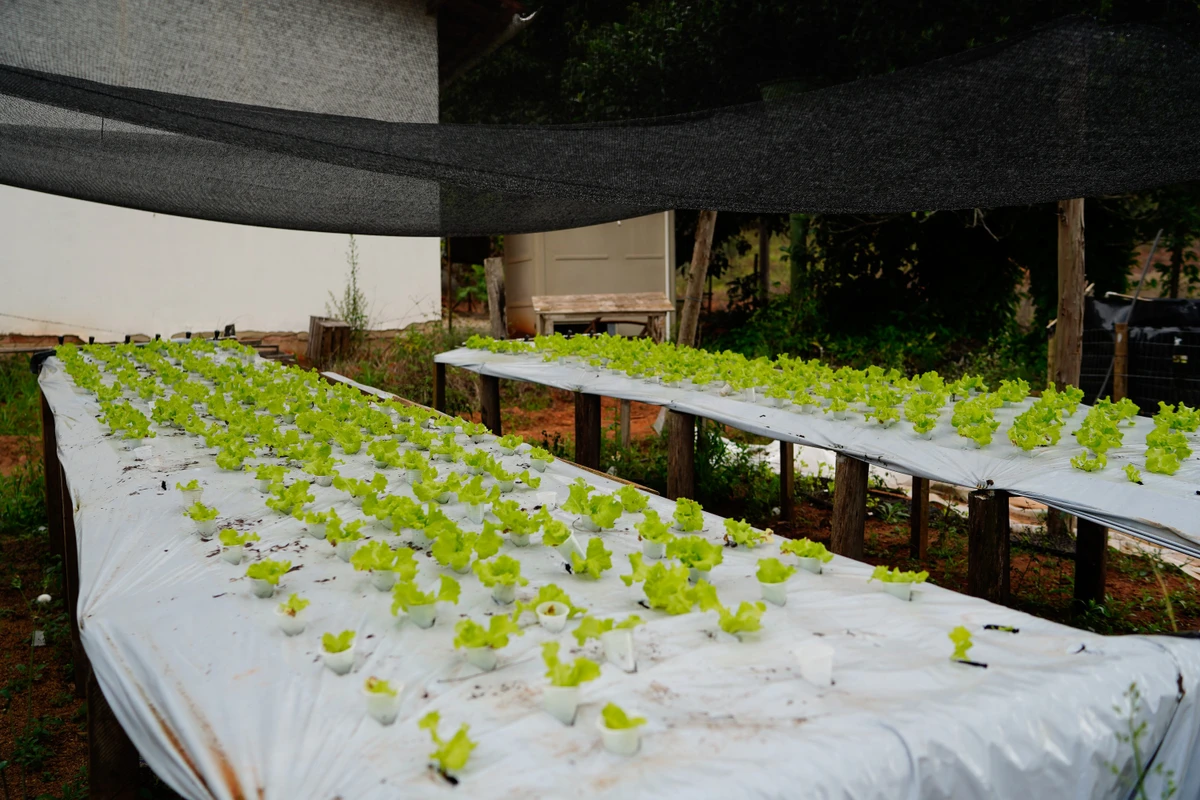 Comunidade Quilombola São Pedro, Ibiraçu por Fernando Madeira