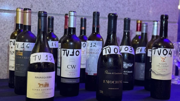 Júri da Expovinhos Vitória premiou exemplares brancos, tintos e espumantes em seis categorias. Evento acontece nos dias 2 e 3 de julho