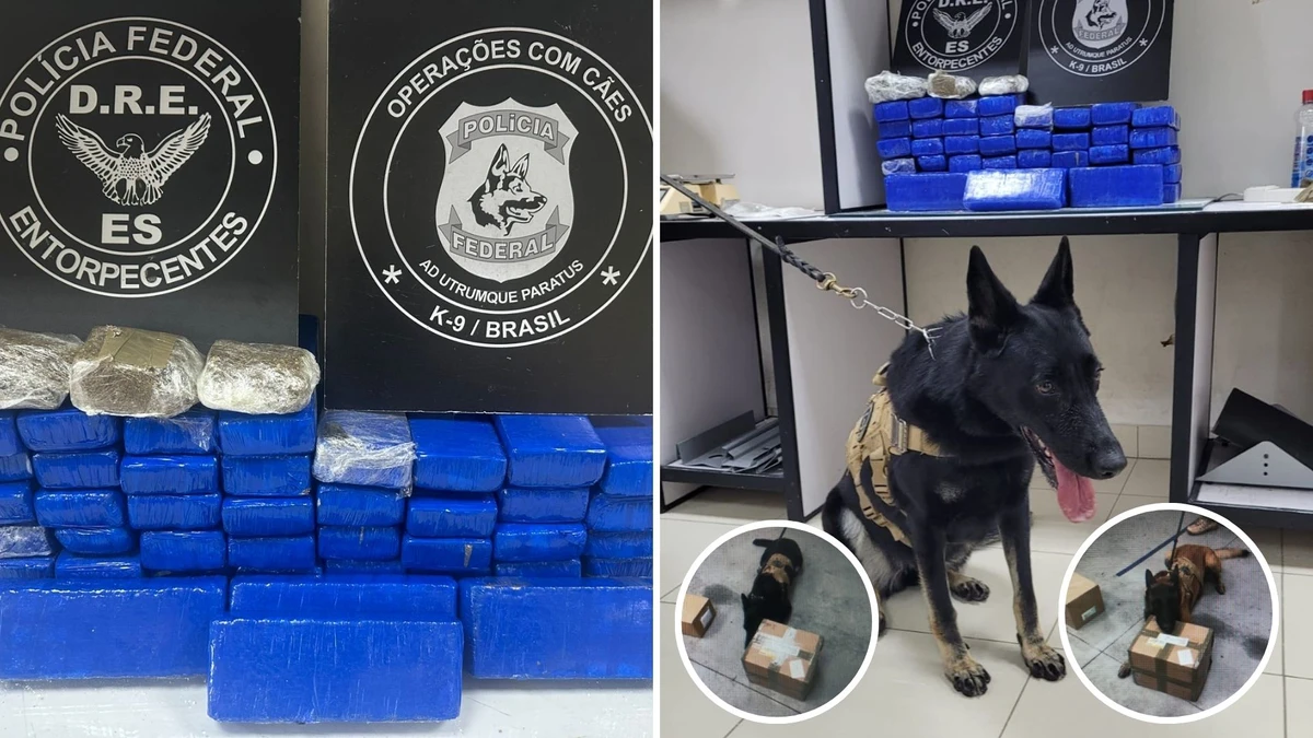 PF realiza operação contra envio de drogas pelos Correios no ES