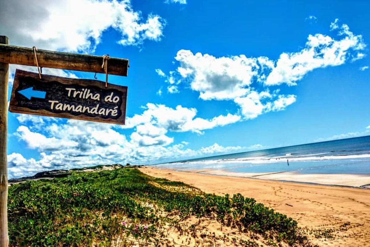 A trilha do Tamandaré é um passeio imperdível em Itaúnas