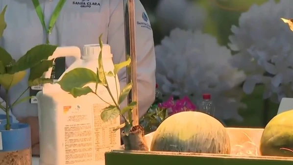 Evento em Nova Venécia reúne expositores e apresenta soluções para aumentar a produtividade e enfrentar os desafios climáticos no agronegócio