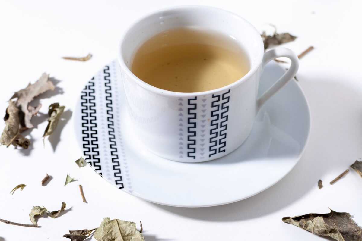 Chá de espinheira-santa (Imagem: Marcio Shimoda | Shutterstock)