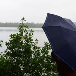Empresa Climatempo afirma que tempo deve ficar fechado, com previsão de pancadas de chuva no Espírito Santo neste início de semana