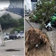 Imagem - Rajadas de vento chegam a 72 km/h e geram estragos em Vitória