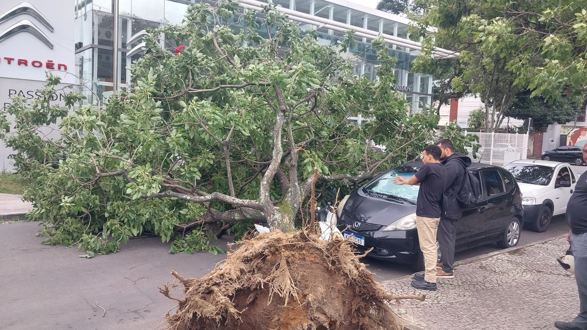 Árvore cai sobre carro e moto em Vitória. por Caíque Verli