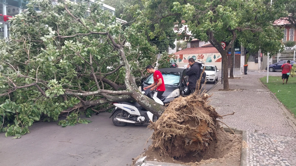 Árvore cai sobre carro e moto em Vitória. por Caíque Verli