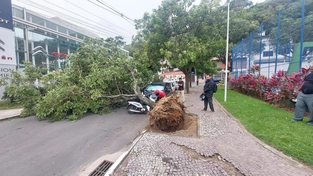 Árvore cai sobre moto em Vitória após ventania. por Caíque Verli