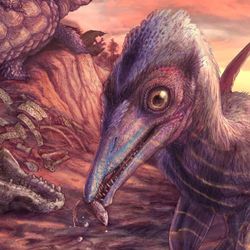 O réptil voador recém-descoberto é o pterossauro mais antigo da América do Norte e era do tamanho de uma gaivota
