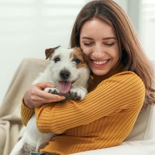 Imagem - Veja como identificar a alergia a animais de estimação