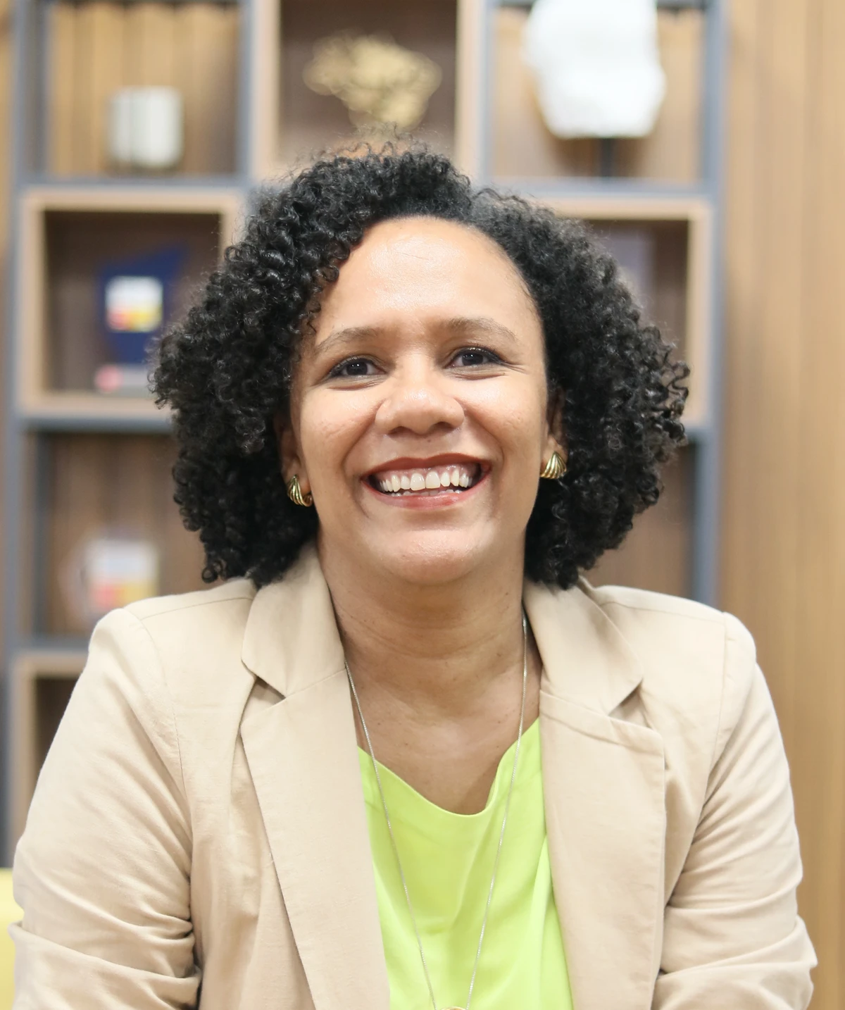 Economista-chefe da Findes e gerente executiva do Observatório Findes, Marília Silva, 