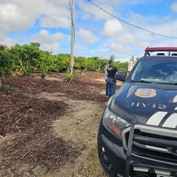 Fazenda no Córrego Cerejeira usava energia furtada para irrigar café, e em Barra de São Francisco, imóveis e até serralheria eram beneficiados com a prática, segundo concessionária