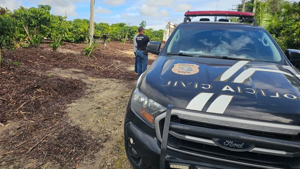 Fazenda no Córrego Cerejeira usava energia furtada para irrigar café, e em Barra de São Francisco, imóveis e até serralheria eram beneficiados com a prática, segundo concessionária