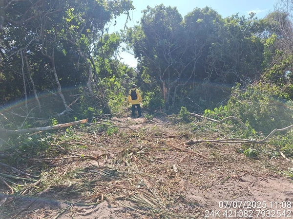 Órgãos flagram estrada de 100 metros aberta em área de restinga em Conceição da Barra