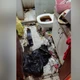 Imagem - Polícia do ES resgata criança em operação que mira influenciadora por golpes
