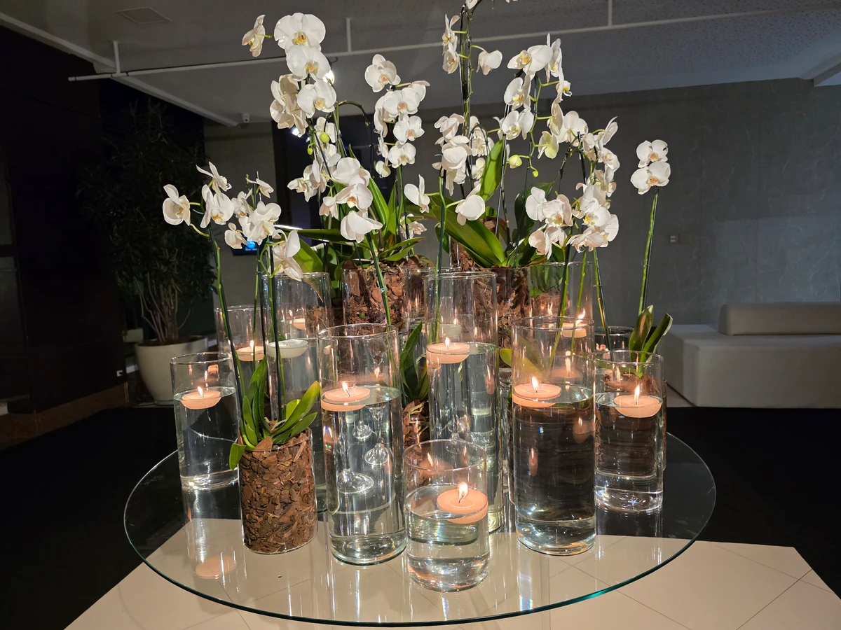 Aniversário de Luciana Almeida 