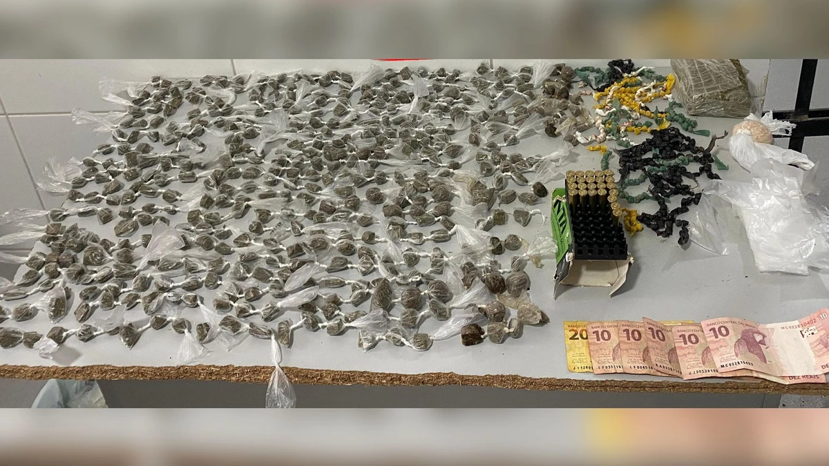 Drogas foram encontradas em mochila em casa em Linhares