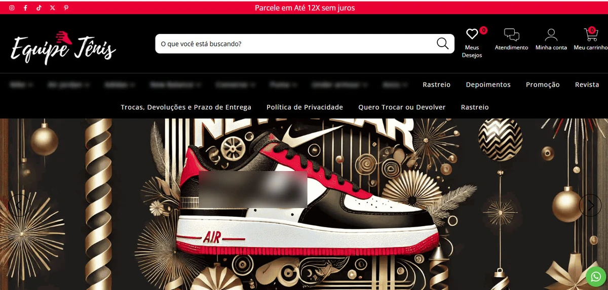 Homepage do site investigado por golpe