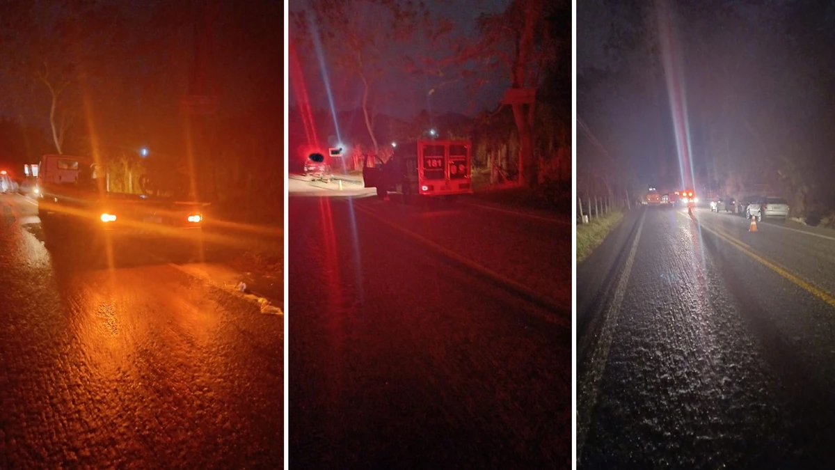 Motociclista morre após atropelar vaca na pista em Jerônimo Monteiro