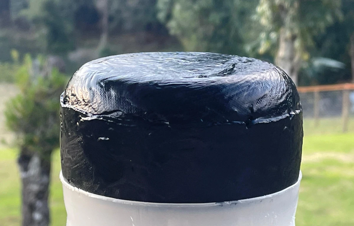 Queijo Chabin (negro), composto de 50% de leite de ovelha e 50% de leite de cabra, da Queijaria Pedrazul, de Domingos Martins, conquistou bronze em Blumenau (SC)
