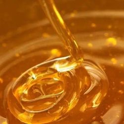 Quando armazenado em um recipiente fechado, ele pode até cristalizar, ficar mais espesso ou granulado, mas não estraga. O que explica a resistência do mel?