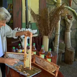 José Alonso Rodriguez começou a produzir mel após cortar o açúcar da alimentação. Espírito Santo tem cerca de 250 apicultores organizados em associações, segundo o Incaper