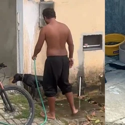 Animal foi resgatado com machucados na pata e nas coxas, com dificuldade de andar. Às autoridades, policial negou ter cometido as agressões