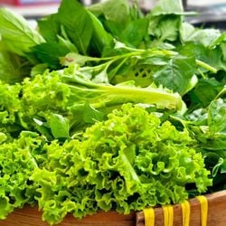 Esses vegetais versáteis podem transformar seu bem-estar de maneira simples e saborosa
