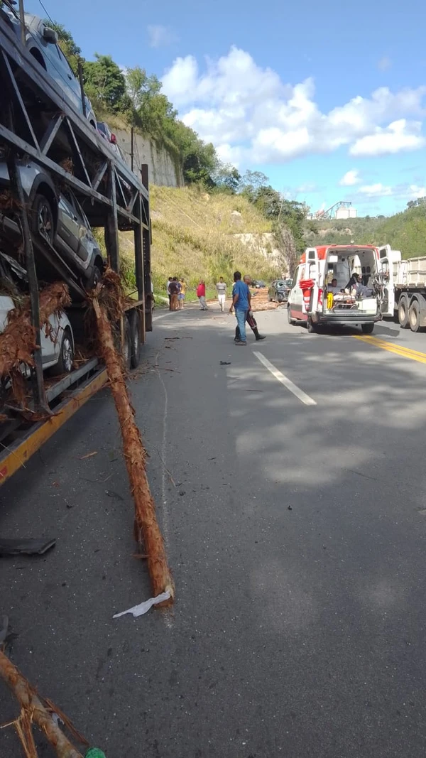 Carreta-cegonha estava com carroceria completa de carros por Redes Sociais