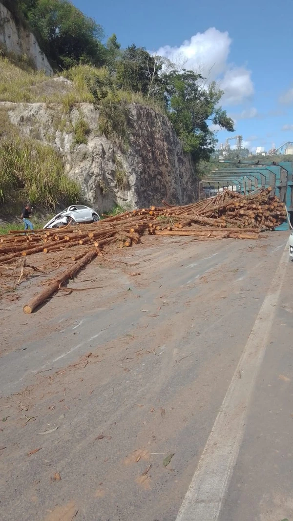Parte das toras espalhadas pela pista na BR 101 por Redes Sociais