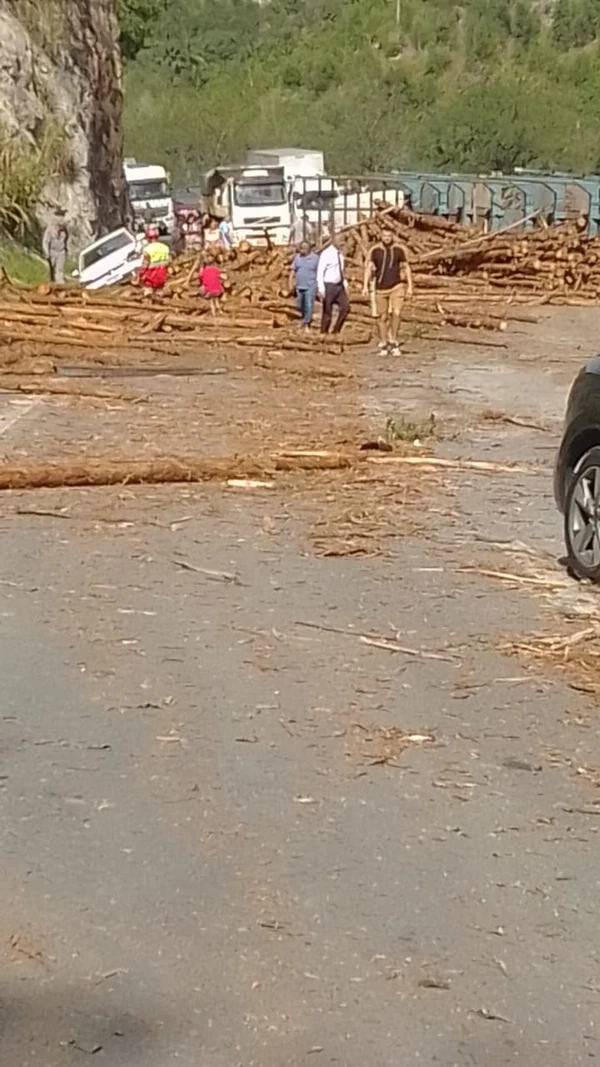 Toras de madeira espalhadas pela pista da BR 101, em Pedro Canário por Redes Sociais