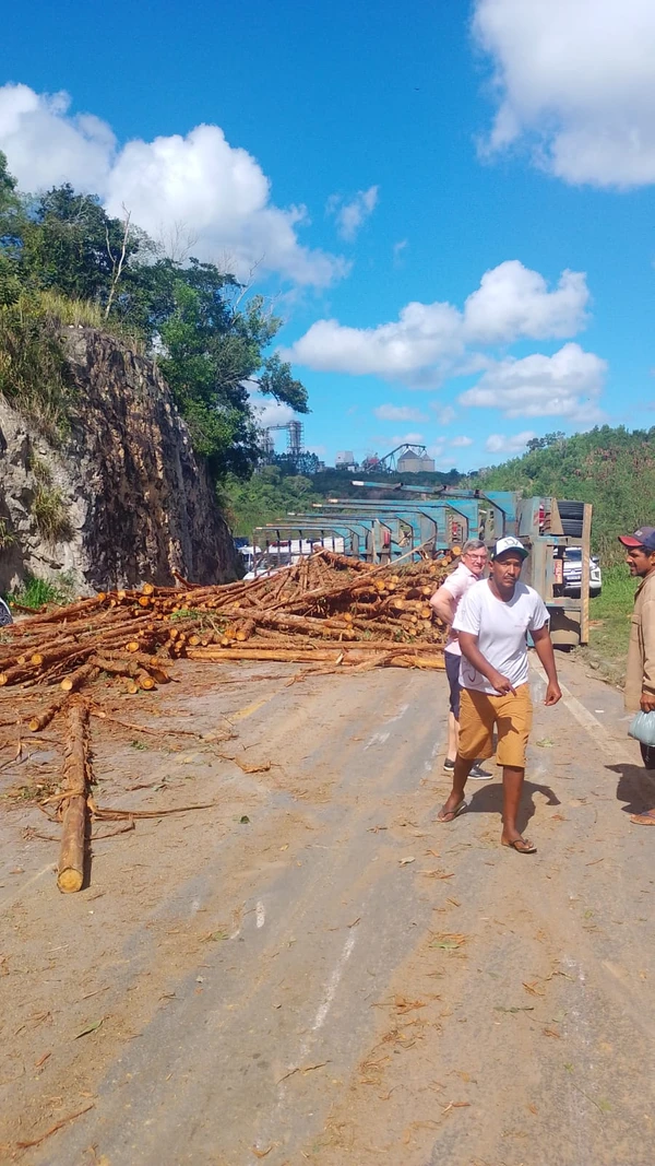 Toras de madeira ficaram espalhadas pelo chão após acidente em Pedro Canário por Redes Sociais