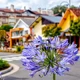 Imagem - 10 destinos de inverno para curtir o melhor da estação na América do Sul