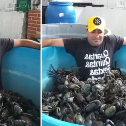 Para atrair clientes e alavancar os negócios, Wanderson Silva Carvalho, o Vandinho, entrou em uma caixa d'água que foi "completada" com os bichos; veja o vídeo