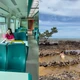 Imagem - Viagens pelo Espírito Santo para fazer nas férias escolares